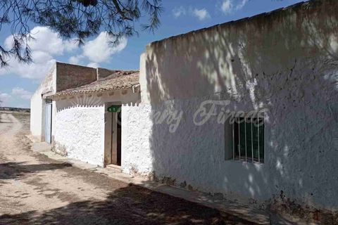 Landejendom i Yecla, Murcia, Yecla - € 49.995 | Ref: SF0390 - foto 15